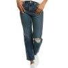 Hudson Jeans Remi At Last Straight Ankle Jean Women